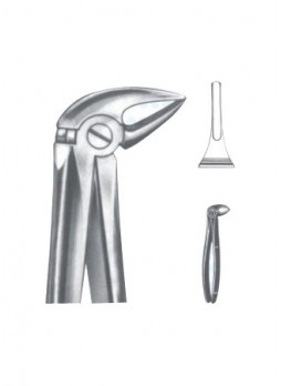 Extracting Forceps
